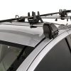 Perle Roof Rack Multi-Purpose Holder Black Universal Fit 55mm-3